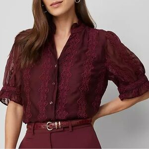 NWT ANN TAYLOR Elegant Ruffle Collar Poised Plum Shirt Size Small